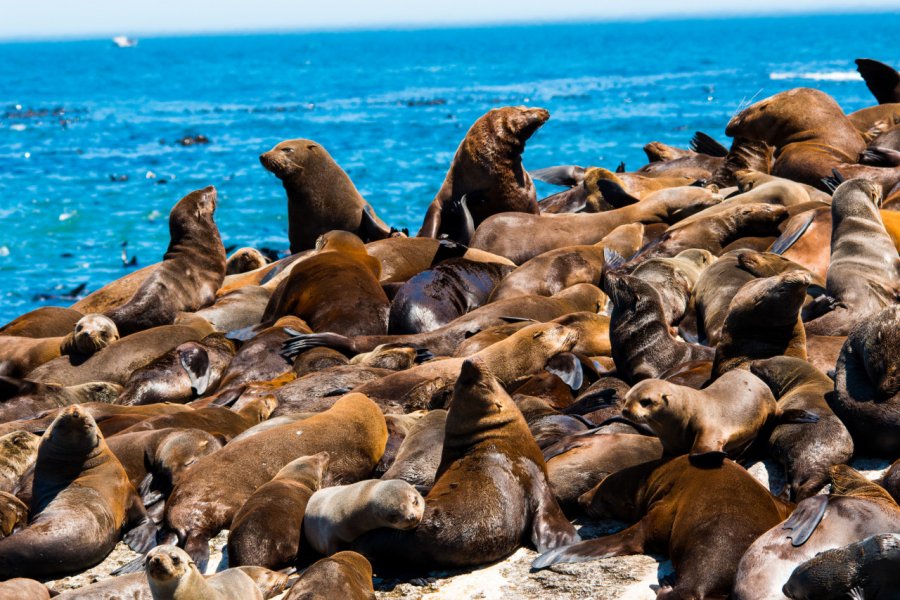 DUIKER ISLAND