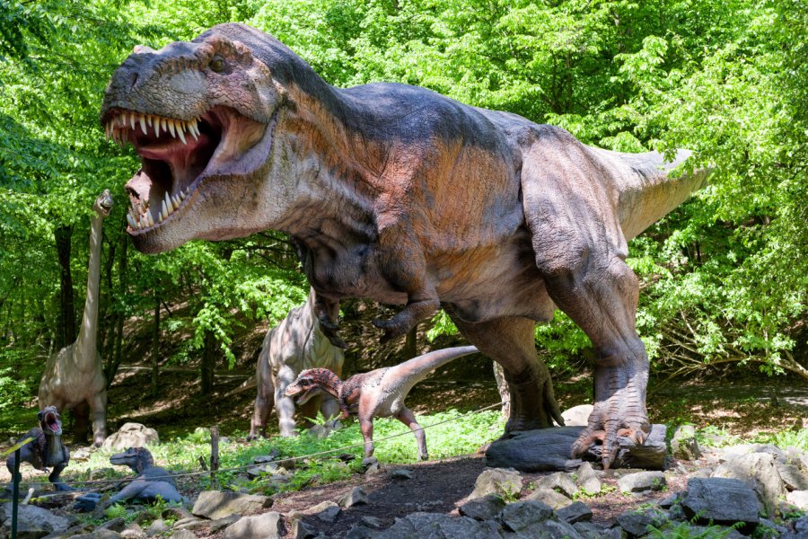 ZOO DE KOŠICE - DINOPARK