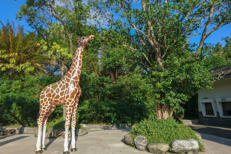ZOO DE TAIPEI