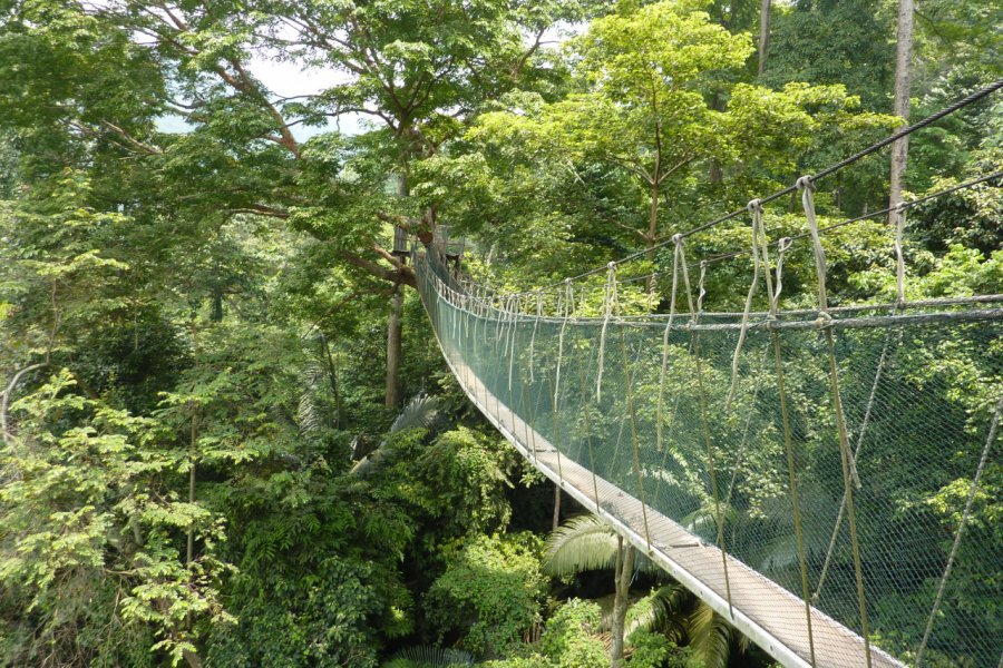 FORESTRY RESEARCH INSTITUTE OF MALAYSIA (FRIM)
