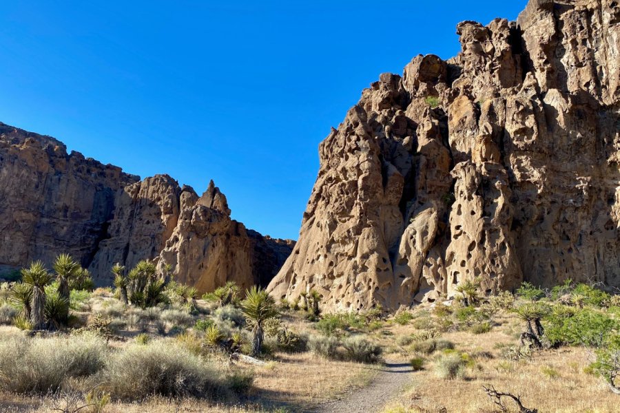 HOLE-IN-THE-WALL NATURE TRAIL