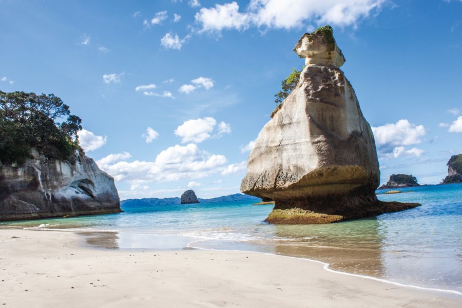 CATHEDRAL COVE TE WHANGANUI-A-HEI
