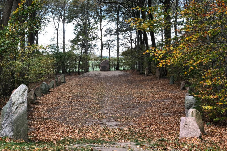 PIERRES DE GLAVENDRUP (GLAVENDRUPSTENEN)