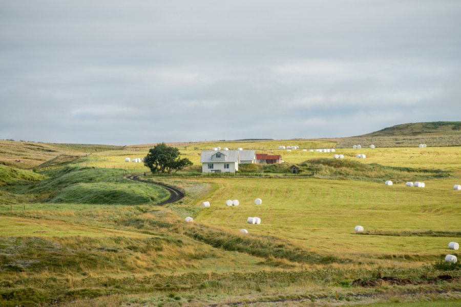 HLIÐARENDI