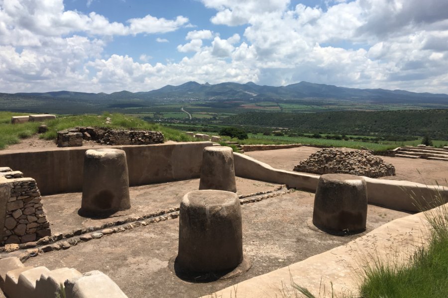 ZONA ARQUEOLOGICA DE ALTAVISTA