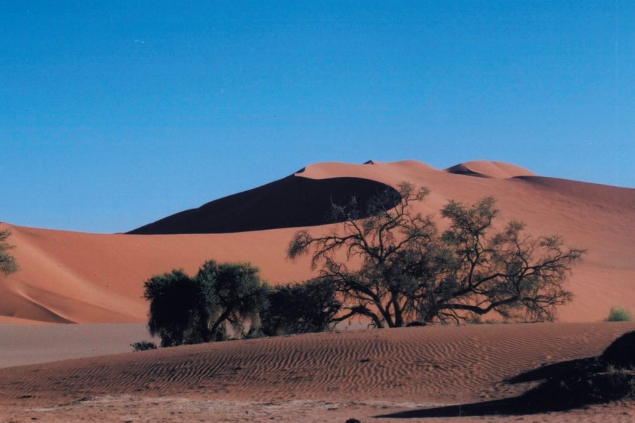 Dunes de Sossusvlei. Marie GOUSSEFF