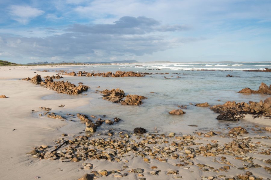 PEARLY BEACH