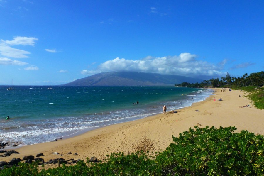 KAMAOLE BEACH PARK I, II ET III