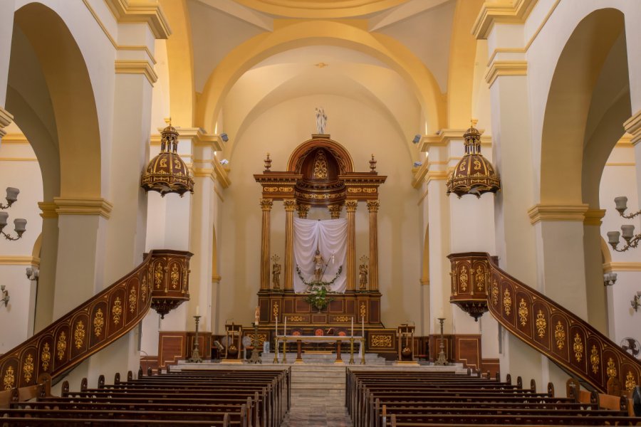 CATEDRAL SAN CARLOS BORROMEO