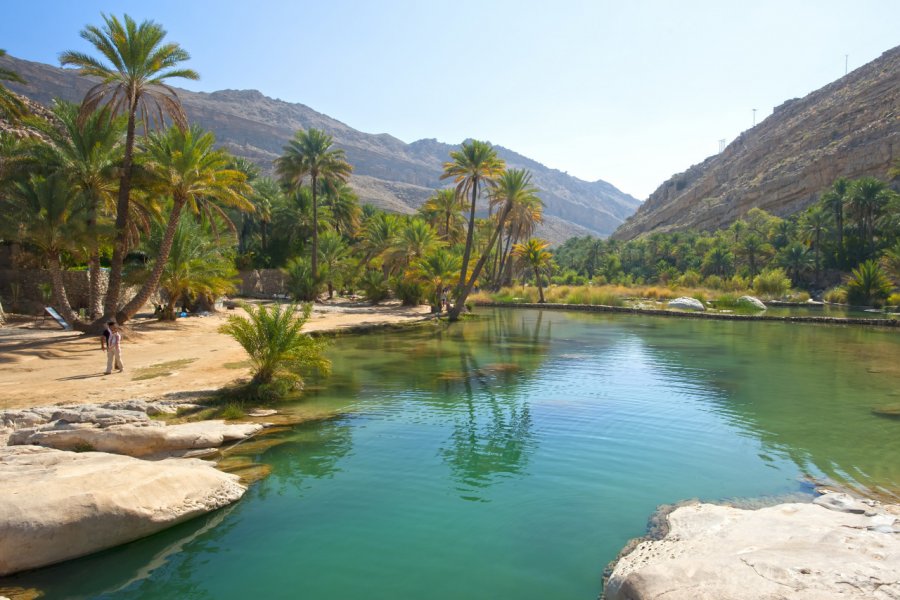 Wadi Bani Khalid. Anita SKV - Shutterstock.com