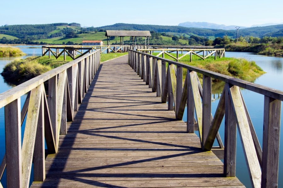 PARQUE NATURAL DE LAS MARISMAS DE SANTOÑA
