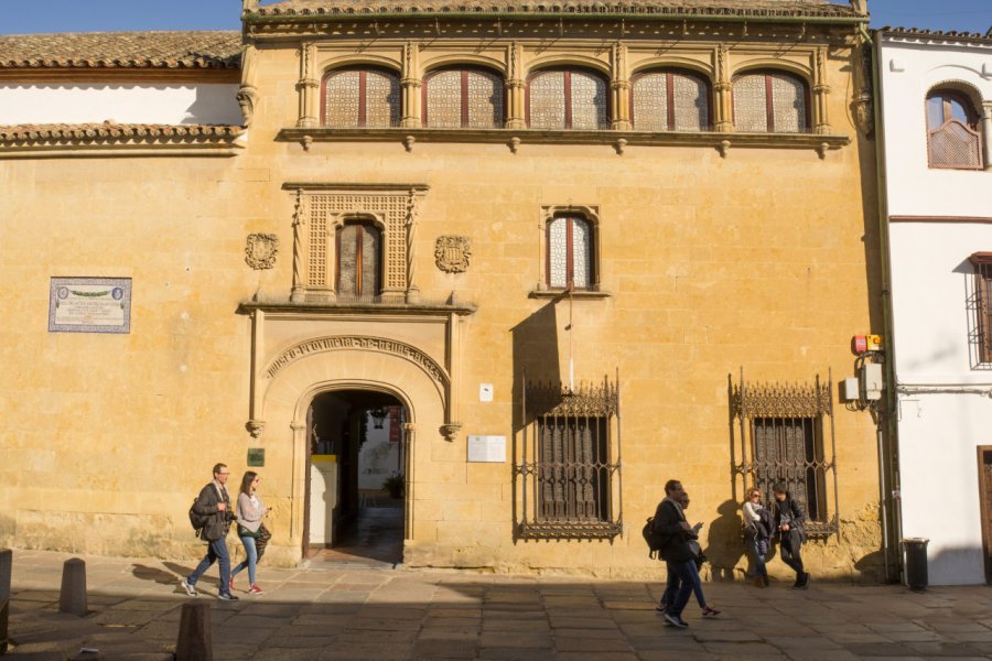 MUSÉE DES BEAUX-ARTS