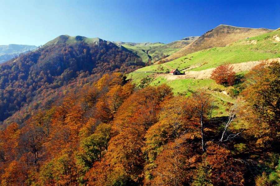LA FÔRET D'IRATY ET LE COL