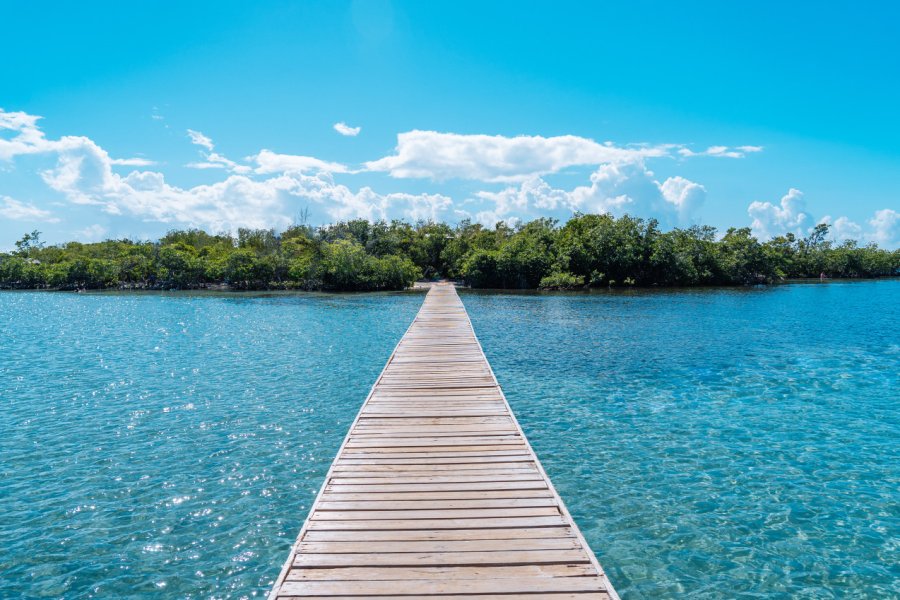 ISLA GILLIGAN