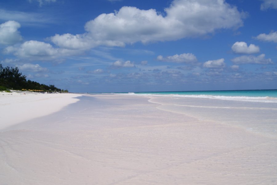 PINK SANDS BEACH