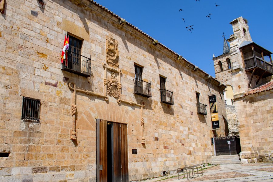MUSEO DE ZAMORA