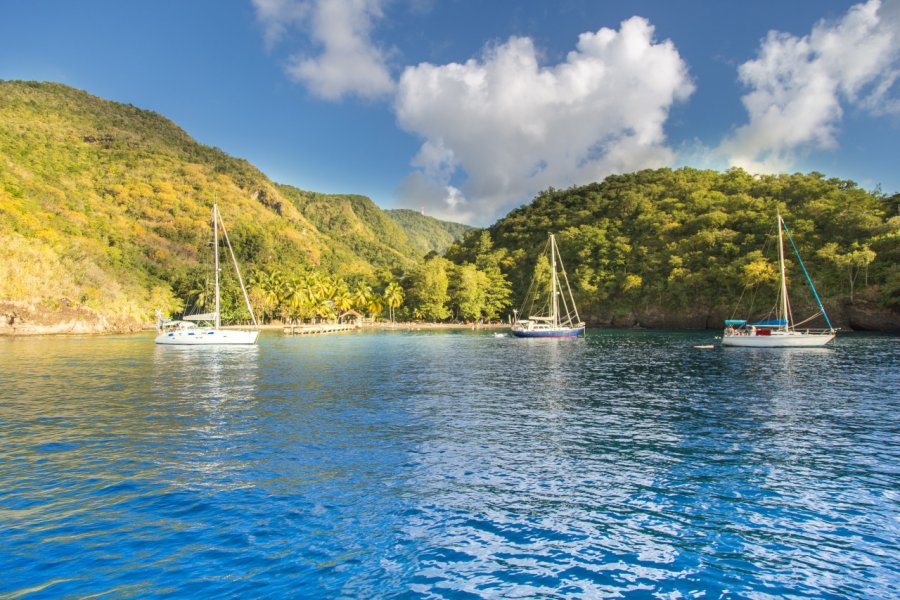 Croisière en bateau à voile, les Anses d'Arlet. Larwin - Shutterstock.Com