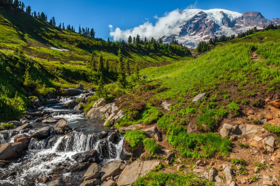 SKYLINE TRAIL