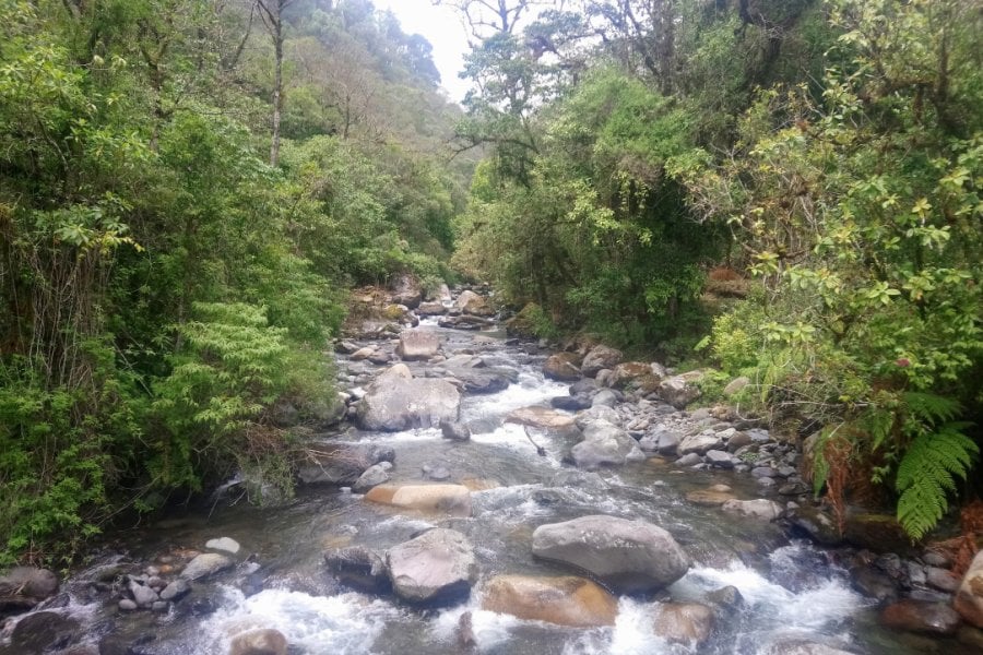 Parque Nacional Darién