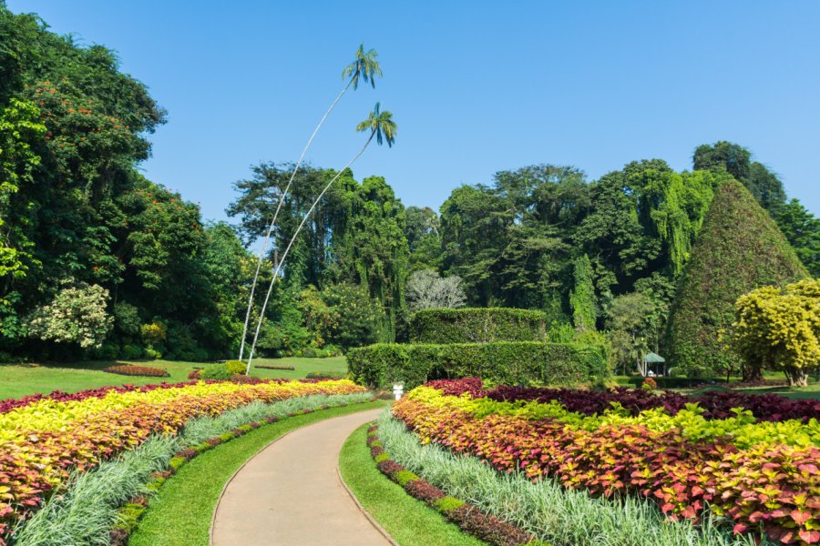 ROYAL BOTANIC GARDENS