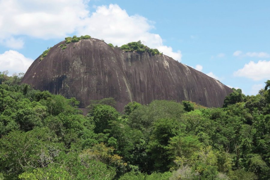 Le Voltzberg, dans la réserve naturelle du Suriname central. Grégory ANDRE