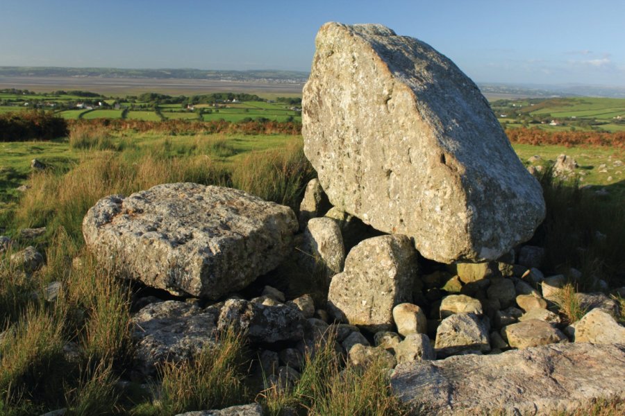 Arthur's Stone aurait été jetée par le roi Arthur sur la Péninsule de Gower hadler1 - iStockphoto.com