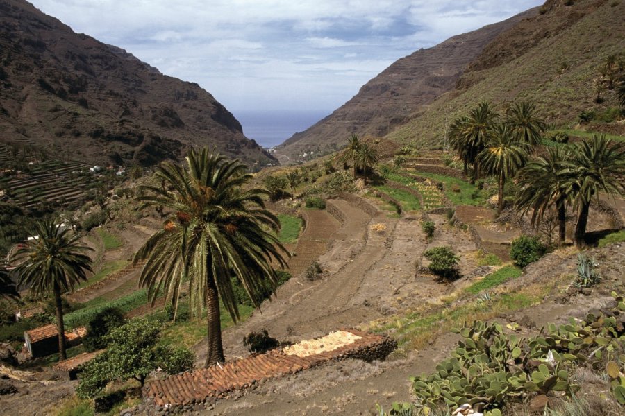 Valle Gran Rey. Author's Image