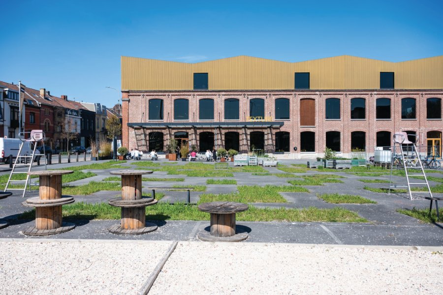 MUSÉE TEXTURE