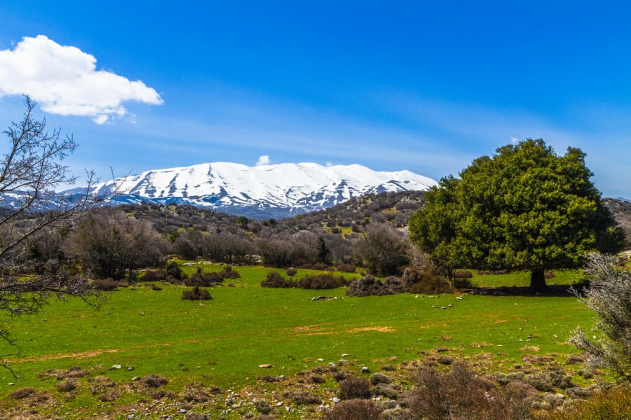 Mont Psiloritis