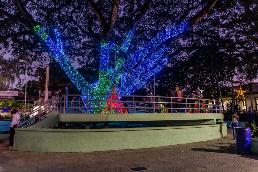 PARQUE CENTRAL