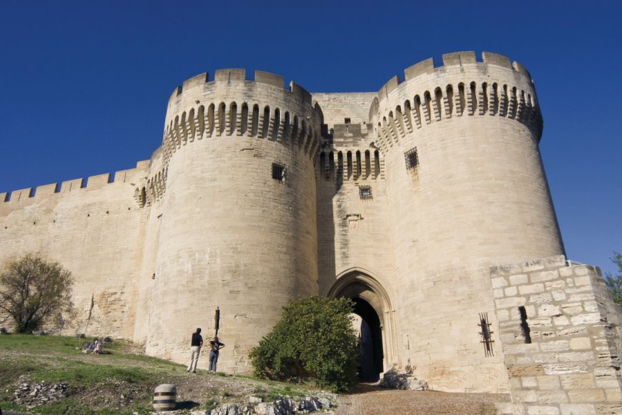 Le fort Saint-André à Villeneuve-lès-Avignon Olivier Tuffé - Fotolia