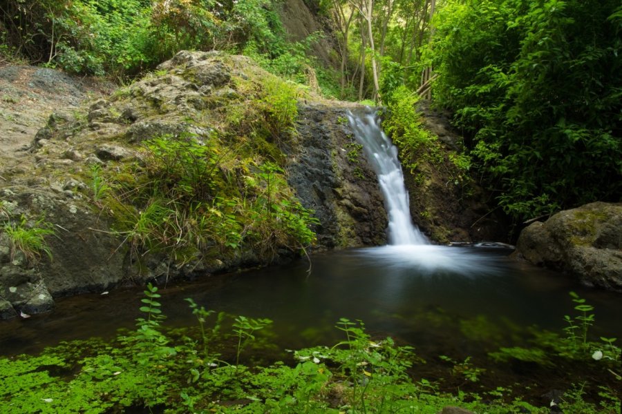Petite cascade, réserve naturelle de Barranco de Azuaje entre Moya et Firgas. Tamara Kulikova - Shutterstock.com