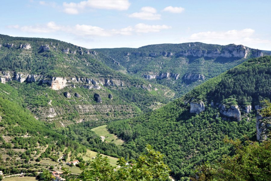 PARC NATUREL RÉGIONAL DES GRANDS CAUSSES