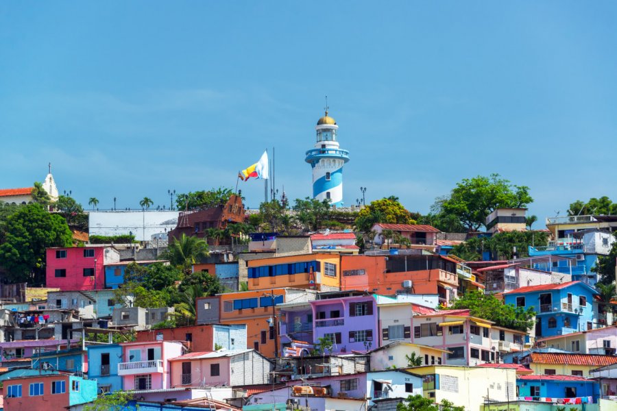 CERRO SANTA ANA