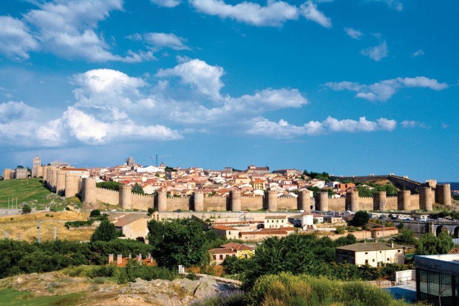 Vue sur la cité fortifiée d'Ávila. Author's Image