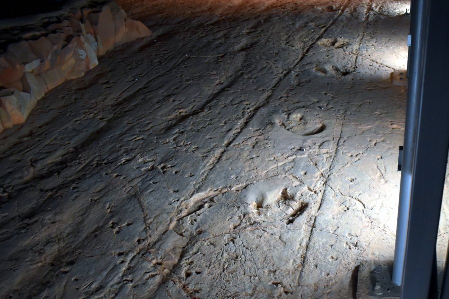 LARK QUARRY DINOSAUR TRACKWAYS