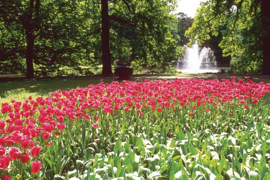 Le parc floral du Keukenhof arbore une jolie fontaine. Author's Image