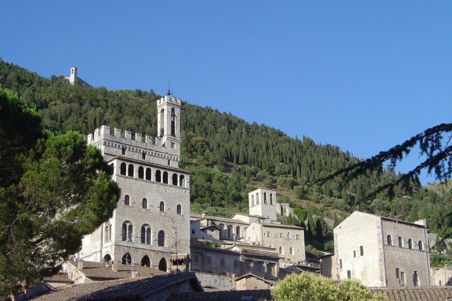 PALAZZO DUCALE