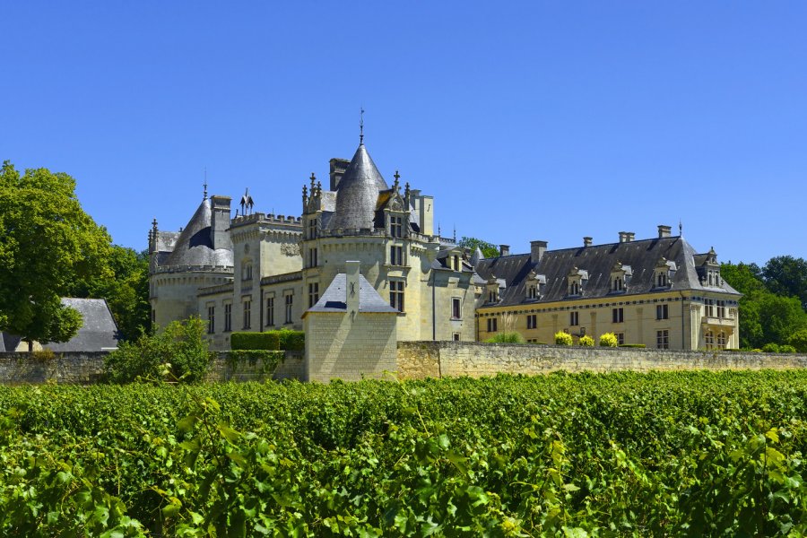 CHÂTEAU DE BRÉZÉ