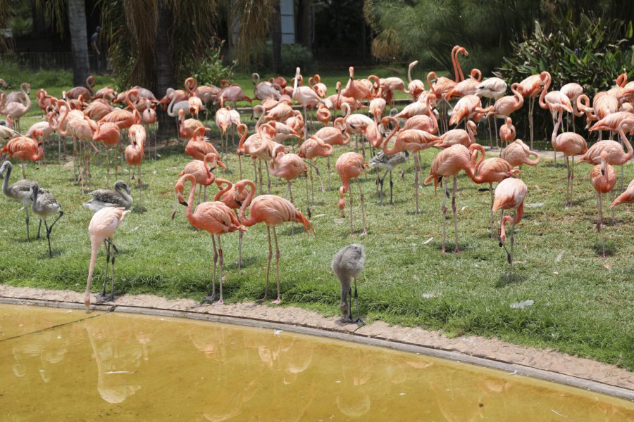 JARDINS ZOOLOGIQUES NATIONAUX