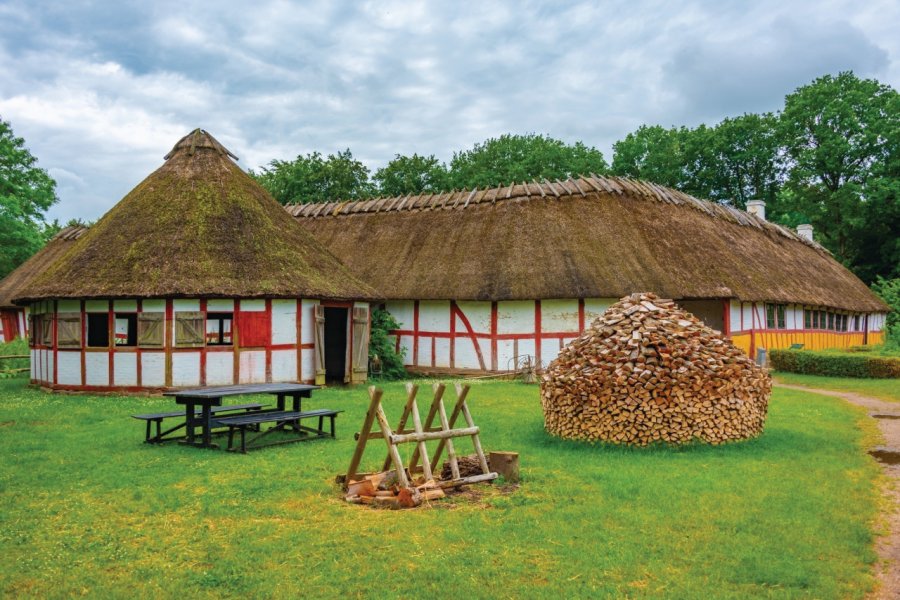 VILLAGE FIONIEN (DEN FYNSKE LANDSBY)