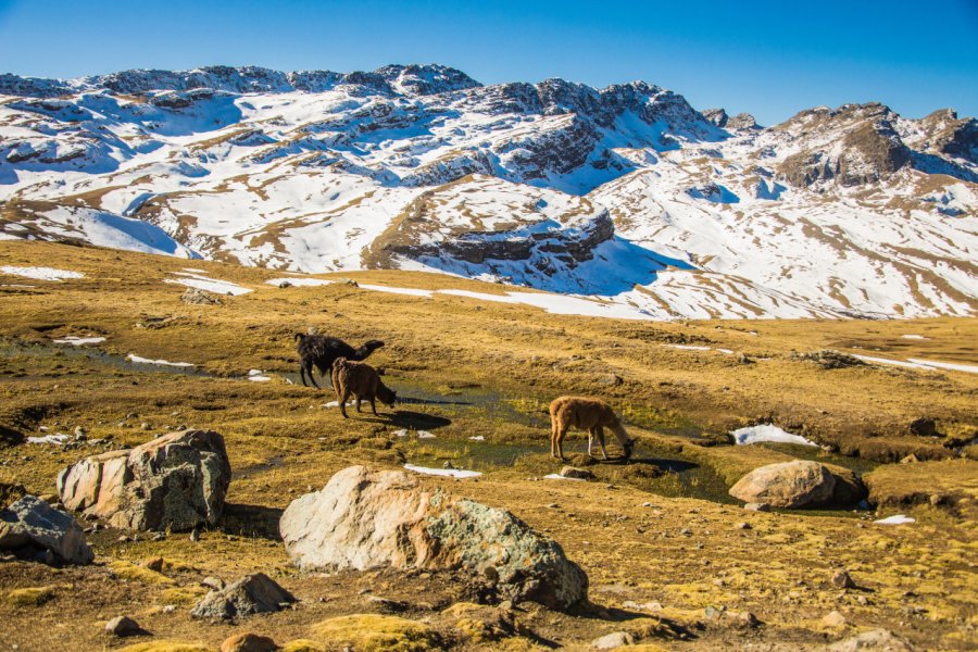 PARQUE NACIONAL TUNARI