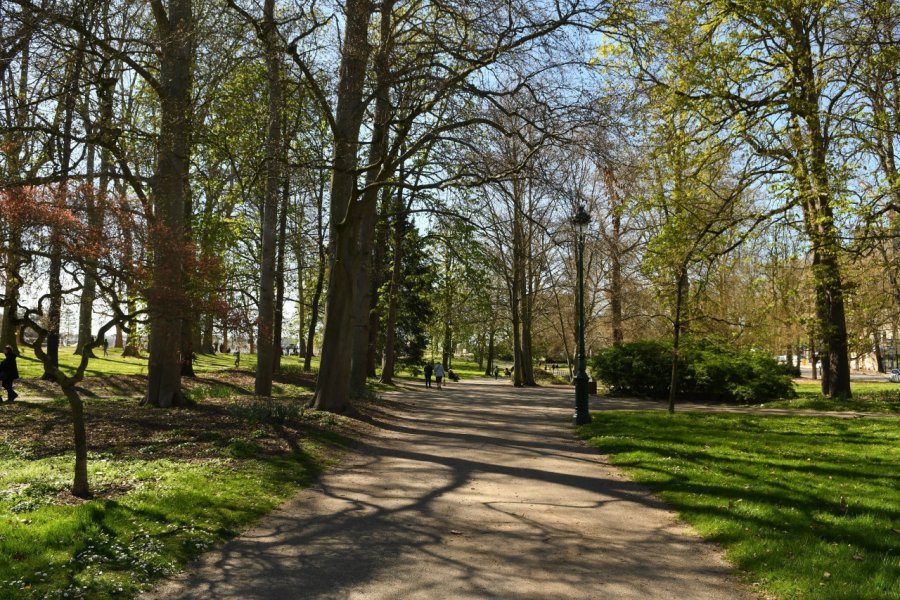 PARCS D'ALLIER