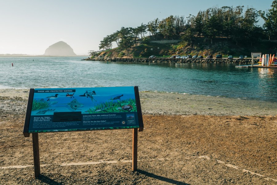 MORRO BAY STATE PARK