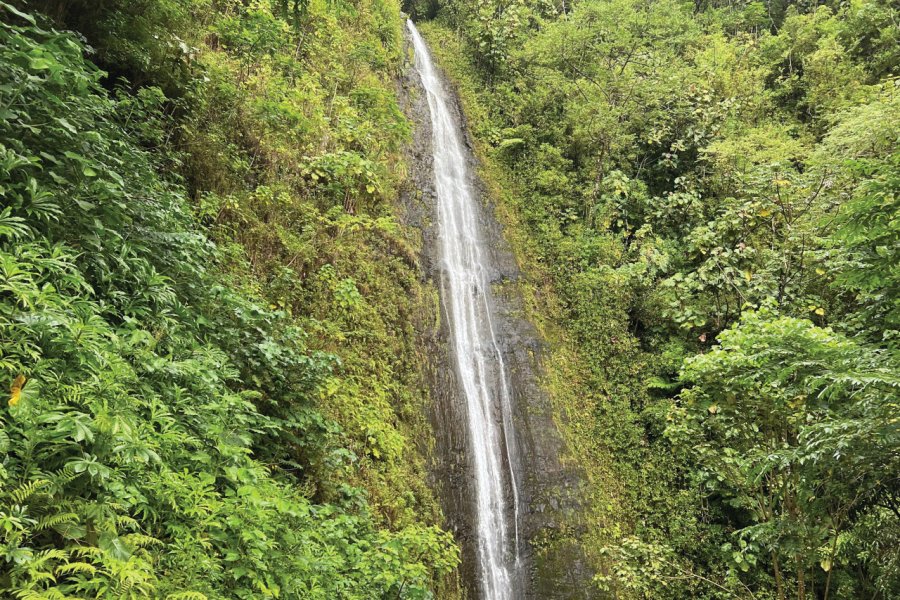 MANOA FALLS