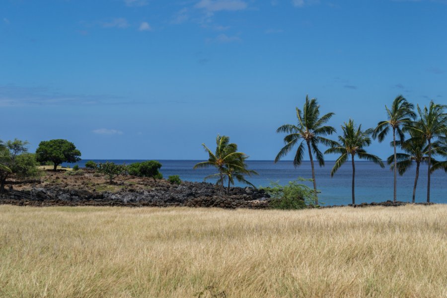KEALAKEKUA BAY STATE HISTORICAL PARK