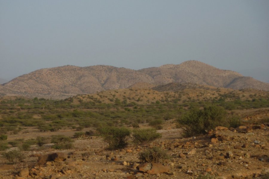 Changement de paysage entre Asmara et Massawa. Charlotte FICHEUX