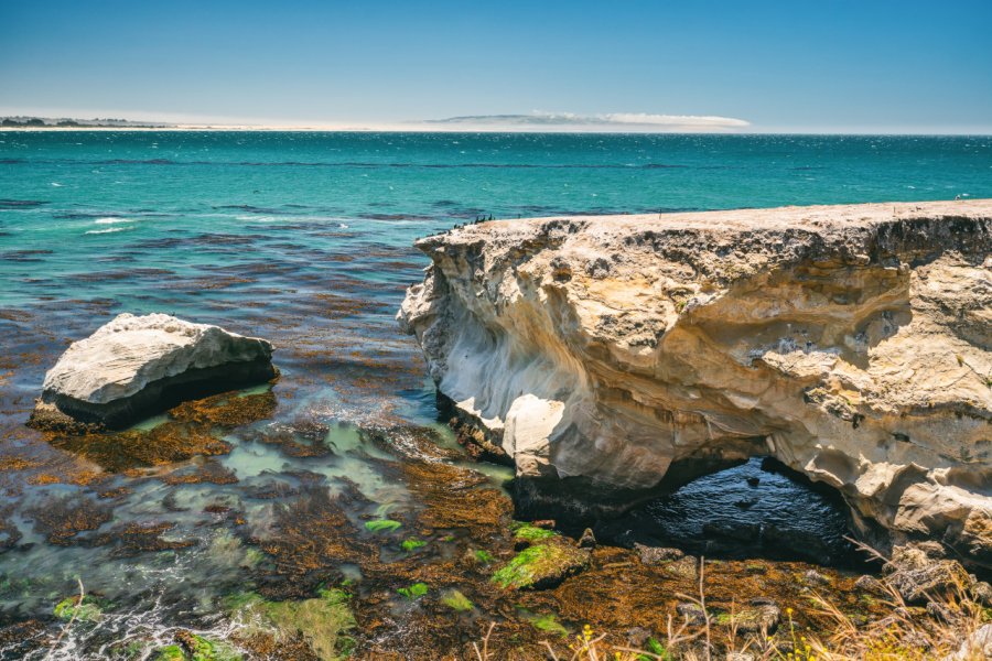 SHELL BEACH
