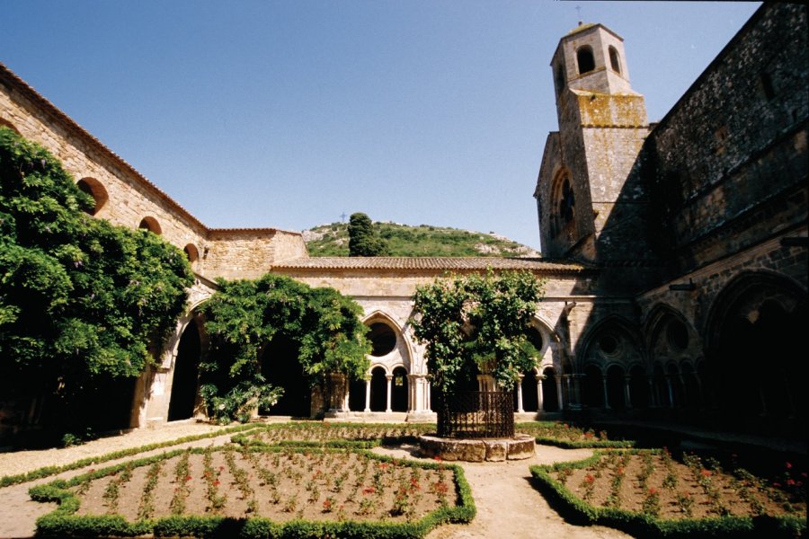 L'abbaye de Fontfroide VINCENT FORMICA