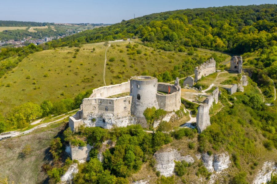 Le château Gaillard. SunFreez - Shutterstock.com